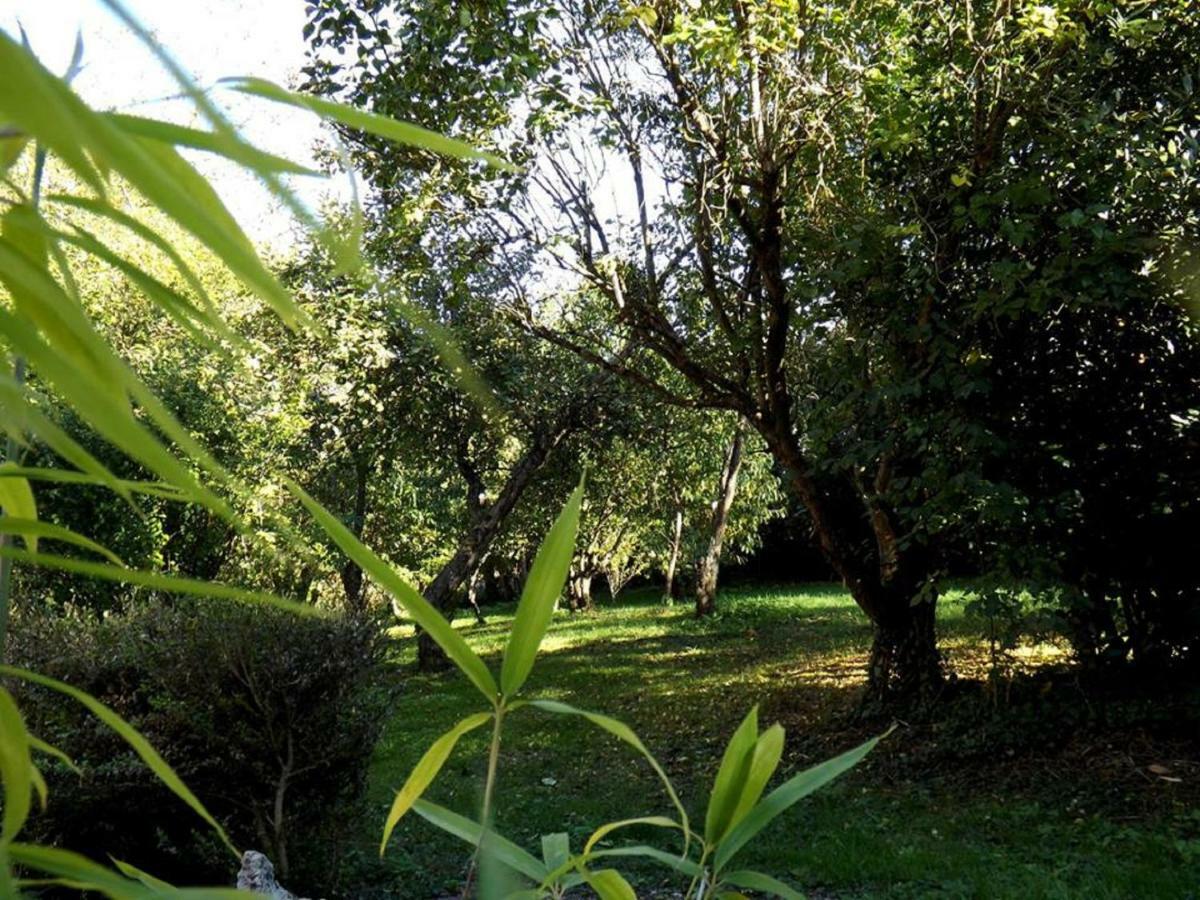 Bed and Breakfast Domaine Pastel Besson Exterior foto
